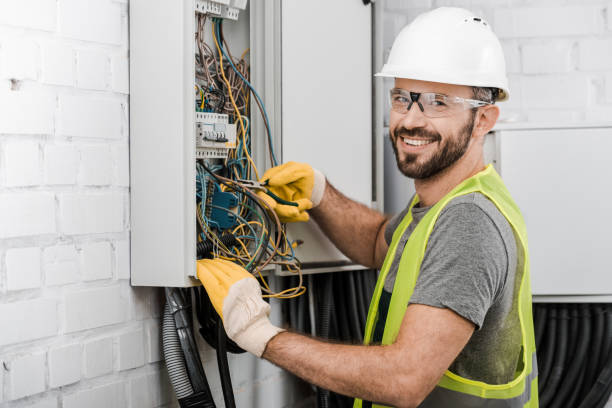 Best Electrical Wiring Services  in Vassar, MI