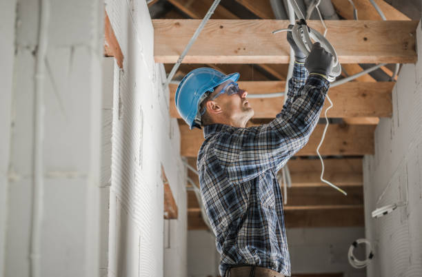 Best Electrician for Home Renovation  in Vassar, MI