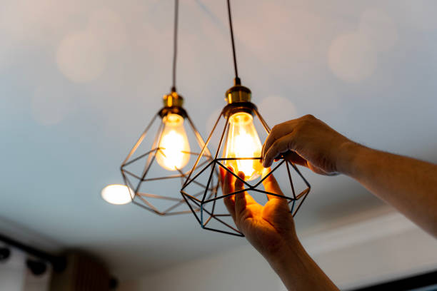 Best Outdoor Lighting Installation  in Vassar, MI