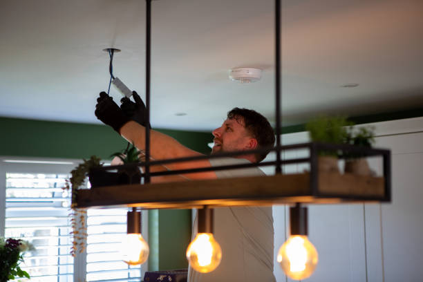 Best Generator Installation Services  in Vassar, MI
