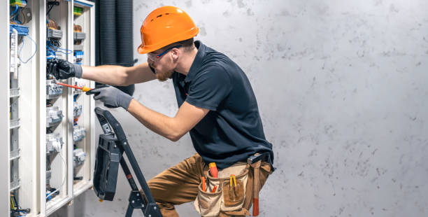 Best Electrical Troubleshooting Services  in Vassar, MI
