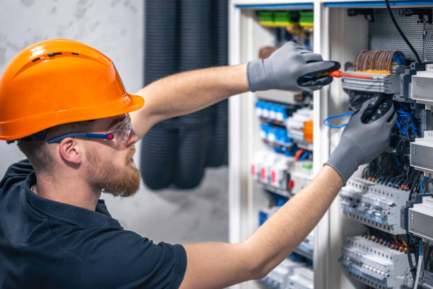 Best Licensed Electrician  in Vassar, MI
